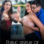 Public Display Of Affliction (2023) Devil's Film