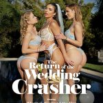 The Return of The Wedding Crasher (2026) LifeSelector